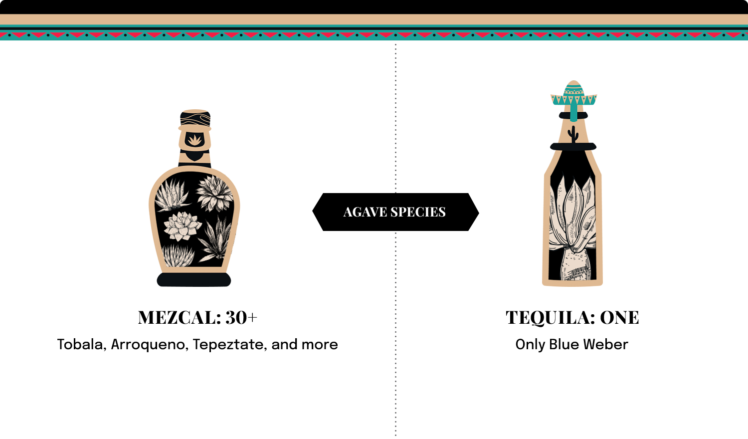 Mezcal vs. Tequila Everything You Need to Know