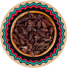 Chapulines