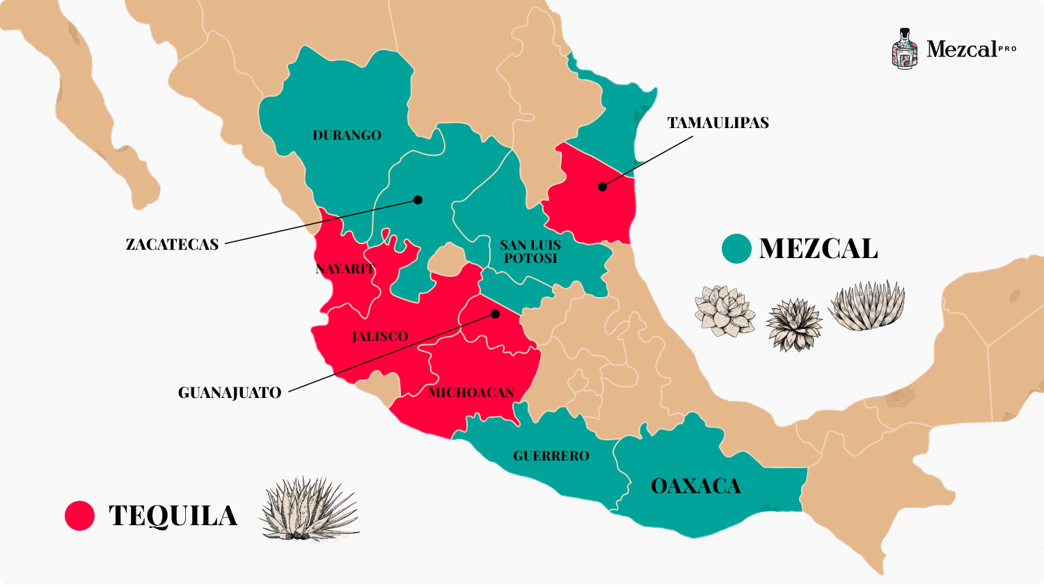 Mezcal Origin Infographic