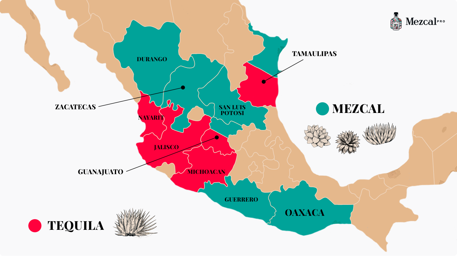 The difference between mezcal and tequila explained