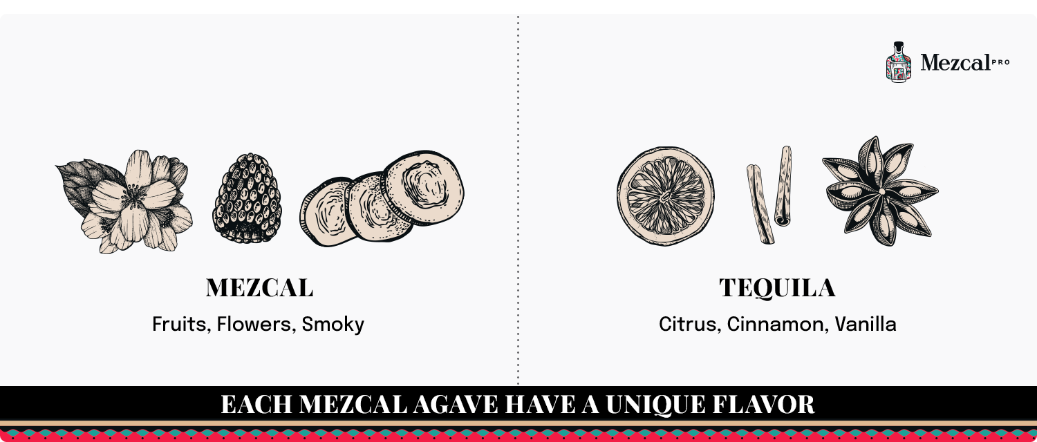 Mezcal Taste, Flavour and ABV Infographic