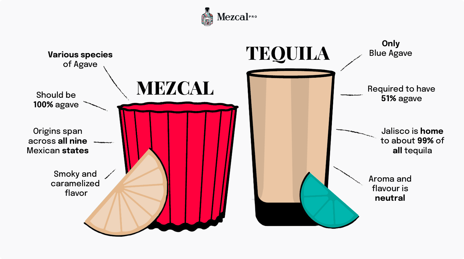 Mezcal vs Tequila Infographic
