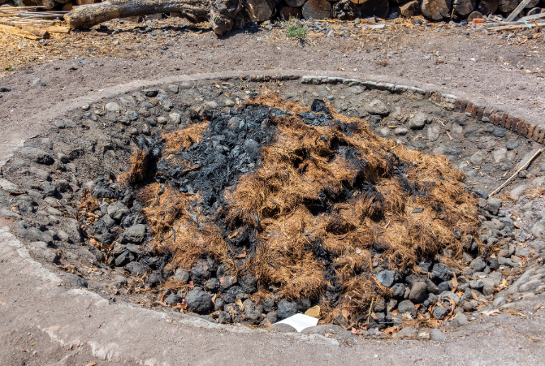 Cooking agaves for mezcal