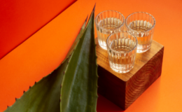 What is the alcohol content of mezcal? A guide to mezcal ABV