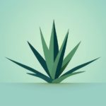 Types of agave and the mezcal they produce